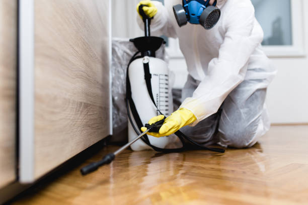 Professional Pest Control in Fruitvale, CO