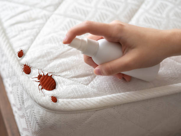 Best Emergency Pest Control  in Fruitvale, CO
