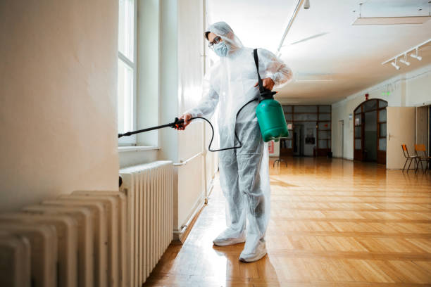 Best Best Pest Control Companies  in Fruitvale, CO