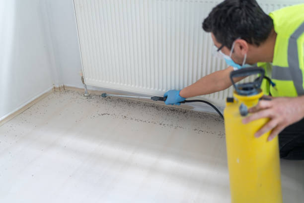 Fruitvale, CO Pest Control Company