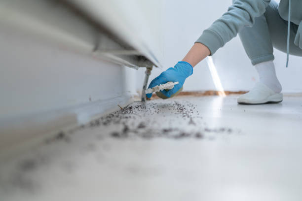 Best Wildlife Control Services  in Fruitvale, CO