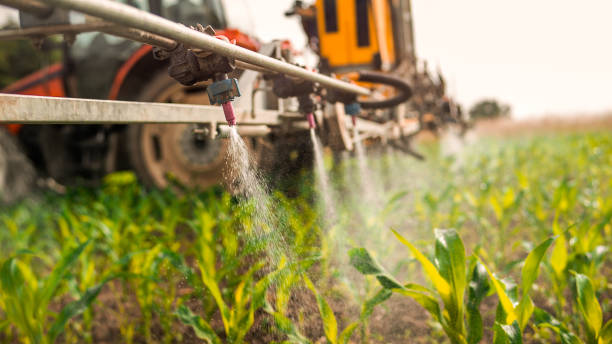 Insect Control in Fruitvale, CO
